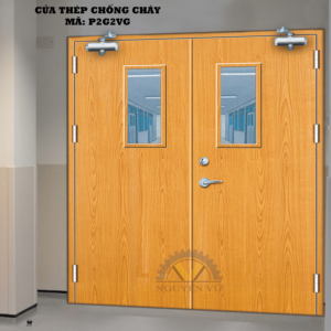 Cửa thép chống cháy P2G2VG